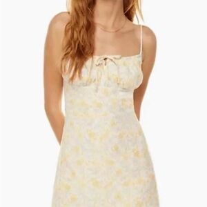 Aritzia Sunday Best Floral Print mini dress